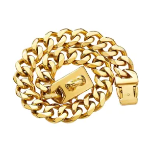 Goldene schwere Haustier-Kettenhalsband Nahaufnahme, langlebiger Edelstahl Kuban-Gliederkette.