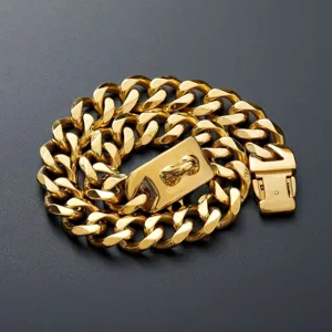 Nahaufnahme Detailansicht des schweren goldenen Titanstahl Haustierhalsbands mit Schnalle.