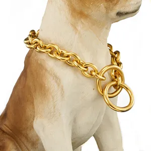 15mm edelstahl schwere goldene haustier hundekette, o-kette und p-kette halsband detailansicht.