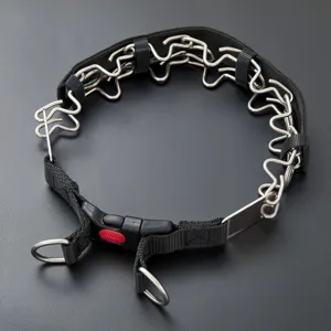 Edelstahl Hunde-Stachelhalsband mit schwarzem Nylonriemen und sicherer Schnalle Detail.
