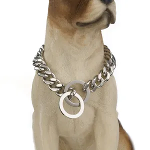 Vue détaillée du collier de chaîne pour chien en acier inoxydable, chaîne gourmette pour animaux.