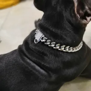 Edelstahl Kubanische Gliederkette Hundehalsband Detailansicht, schweres Haustierband.