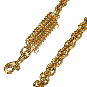 Gouden roestvrijstalen huisdierenketting detail, 15MM schokdemper veer hondenlijn deel.