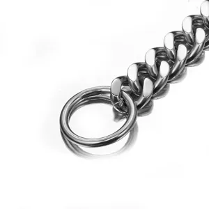 Dettaglio catena per cani in acciaio inossidabile, collare metallico robusto per addestramento.