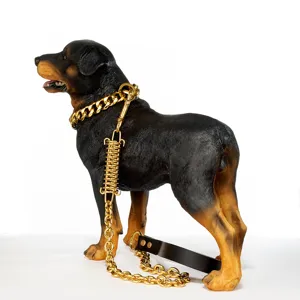 15mm roestvrij staal gouden hondenketting halsband met veer riem set voor huisdier