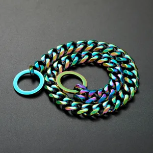 Close-up detail of the vibrant rainbow metal pet chain collar, showing durable links and rings.
