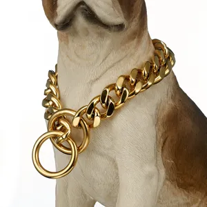 Dettaglio collare per cani in acciaio inossidabile dorato, catena per animali.