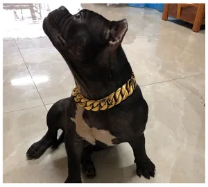 Heavy gold Cuban link dog collar 32mm stainless steel metal chain pet supplies for large dogs detail view.
