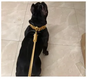 Heavy duty gold Cuban link dog collar and metal leash set, 32mm stainless steel pet chain.