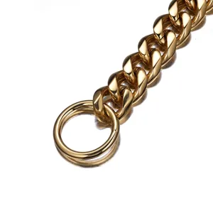 Gold stainless steel dog chain close-up, heavy duty pet P-chain collar detail view.