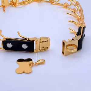 Stainless steel dog pinch training collar with metal quick release buckle and cute bone charm.