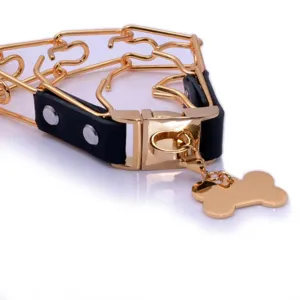 Stainless steel dog training pinch collar with leather strap and metal buckle for large dogs.