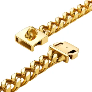 Detailed close-up of heavy gold metal pet chain link and secure buckle clasp design.
