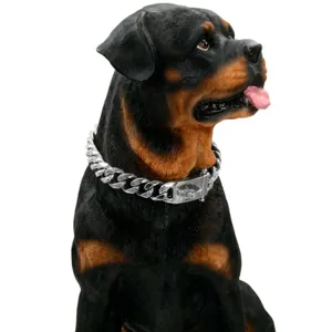 Edelstahl Zopfkette Haustier Halsband Detailansicht, stabile Hundekette Nahaufnahme.