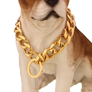 Close-up detail of heavy-duty golden Cuban link dog chain collar with sturdy metal texture.