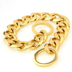 Detail view of 19mm gold stainless steel pet chain collar, showing polished metal links.