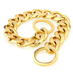 Gold stainless steel dog chain detail, 19mm thick heavy duty pet collar link closeup.