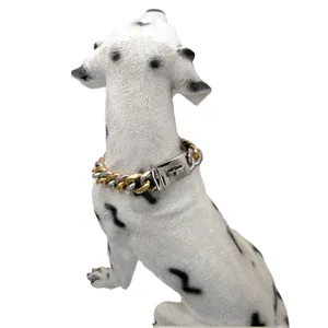 Detailansicht eines zweifarbigen 19mm Edelstahl-Hundehalsbands mit starkem Verschluss.
