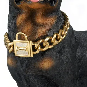 19mm heavy duty gold dog chain collar with rhinestone bone padlock stainless steel pet accessory