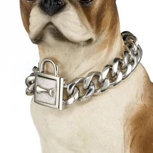 Heavy duty 19MM stainless steel dog collar with lock and rhinestone bone charm for pets.