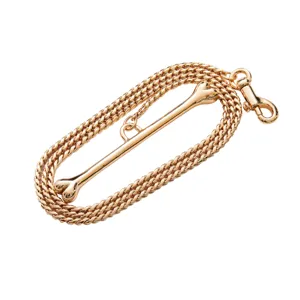 Gold stainless steel pet dog leash with bone handle detail for outdoor walking pets.