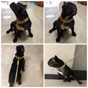 Heavy duty 32mm gold dog chain collar and leash set stainless steel pet chain for large dogs