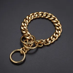 Gold stainless steel dog training P-chain collar, heavy duty pet supply main image.