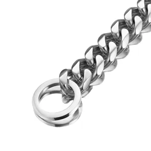 Heavy duty stainless steel dog chain collar metal pet training P chain silver durable 1pc