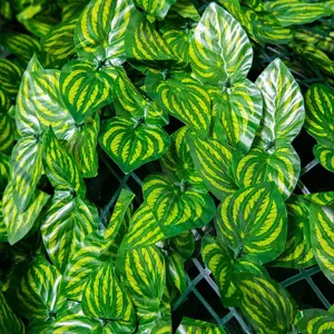 Detailed view of artificial green leaves hedge fence wall panel, perfect for decoration.