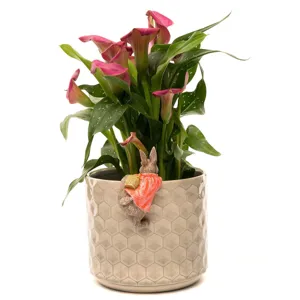 Maceta de cerámica con bonita figura de conejo colgante y calas para la decoración del hogar.