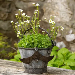 Pot de fleur chauve-souris en résine, seau de plante suspendu vintage pour jardin.