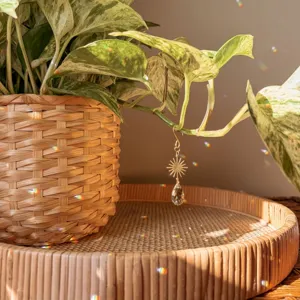 Gold crystal suncatcher detail hanging on green plant, sparkling teardrop prism pendant.