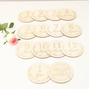 Wooden baby milestone cards set, monthly growth record disc props, newborn photography 14pcs