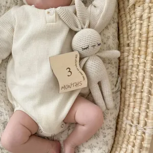 Wooden baby milestone card detail shot with cute knitted rabbit toy and newborn clothing.