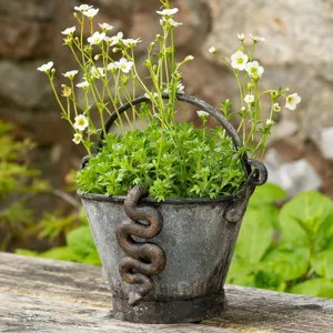 Vintage bronze snake decorative flower pot with green plants, rustic garden plant pot decor