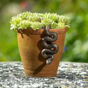 Detail view of a charming bronze snake pot companion hanging on a terracotta succulent pot.