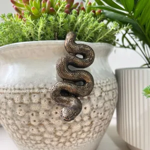 Bronze snake pot buddy detail, decorative planter companion for garden and home decor.