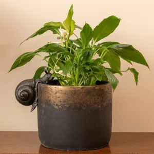 Detailed close-up shot of the creative resin snail climbing flowerpot ornament, garden decor.