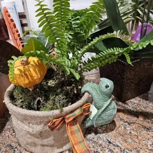 Resin turtle flower pot hanging succulent planter cute garden decoration outdoor courtyard ornament