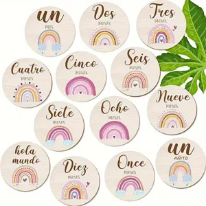 Set de disques d'étape de bébé en bois cartes mensuelles avec jolis motifs arc-en-ciel.