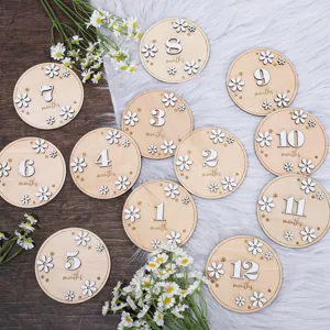 Wooden Baby Monthly Milestone Cards Set Double Layer Daisy Newborn Growth Record Photo Props Wood Nursery Decor