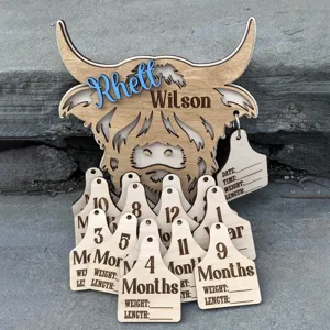 Wooden highland cow baby milestone markers with monthly hanging tags for photo prop memories.