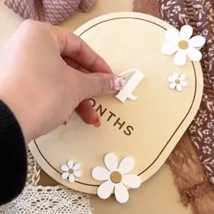 Wooden baby milestone photo props with cute daisy decorations and monthly number cards.