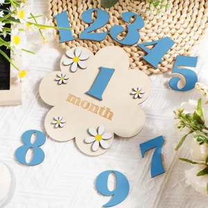 Baby Holz Meilenstein monatlich Foto Requisiten Set mit Blumen Plakette und Ziffern Set.
