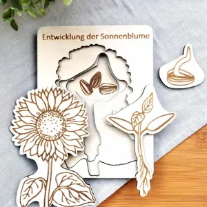 Wooden sunflower life cycle puzzle toy plant growth montessori educational wooden toy for kids.
