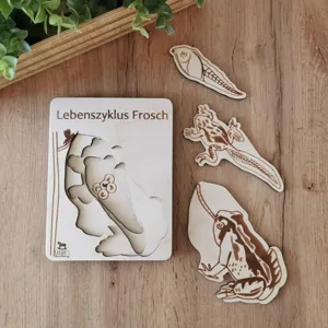 Wooden frog life cycle puzzle toy detail showcasing growth stages and natural wood texture.