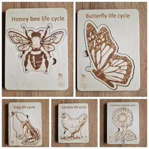 Wooden life cycle puzzle set for kids Montessori educational toy animal growth tray.