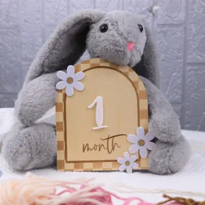 Newborn baby milestone monthly wooden card and gray plush bunny rabbit photography photo prop set.