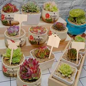 Etichette per piante da giardino in legno fai da te marcatori per vasi di fiori decorativi