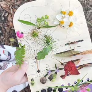 Holz Blumen und Blätter Sammler Brett für Kinder Natur Erkundung und Steckspiel Dekoration.